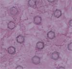 Batik - Hexagon Purple (5555)
