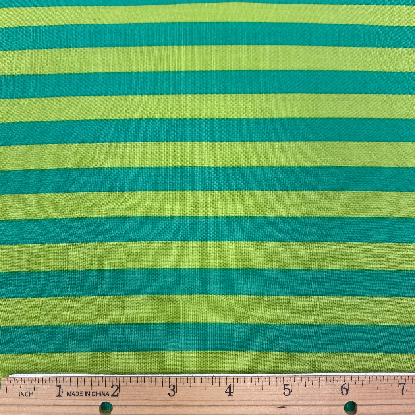 Bug City Stripe - Green