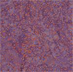 Batik - Dots Purple/Orange (5556)