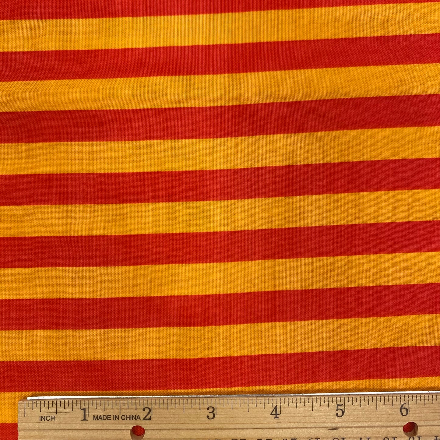 Bug City Stripe - Orange