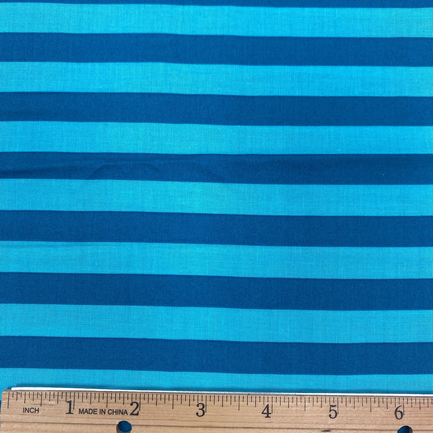 Bug City Stripe - Teal