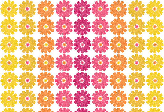 Daisy Ombre Stripe - Pink/Multi (13378-22) End of Bolt