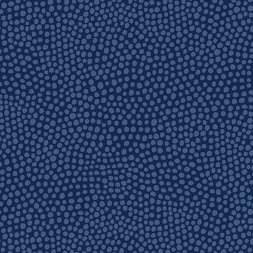 Dew Drops On Navy (13609-11) Fabric